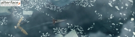 Au début du film, un plan séquence montre le bateau naviguant sur l’océan, une mouette déche observe la scène au premier plan.