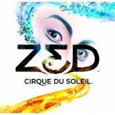 Logo de ZED