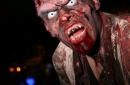 5 maisons hantées et 2 zones thématiques au programme des Terenzi Horror Nights 2011