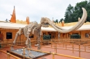 File d'attente de l'attraction Safari au Kolmarden Zoo.