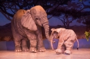 Iceploration - Elephant Stiltwalkers in the Serengeti