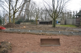 Bellewaerde Park will welcome a new animal specie: Europan bisons