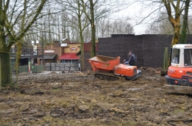 The new enclosure is currently under construction in the Far West section of the park.