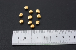 10 lucky visitors will find a pure 24K gold nugget