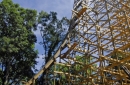 View of the 81-degree first drop from the ground