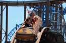 Interlink opens a two-drop flume ride at the new Galveston Island Historic Pleasure Pier
