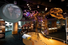 Electrosonic provides AV systems for the North Carolina Museum of Natural Sciences