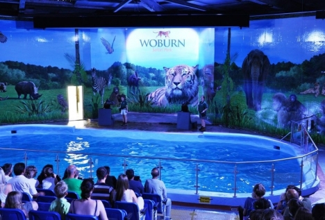 Simworx completes a unique 3D cinema experience for Woburn Safari Park, UK