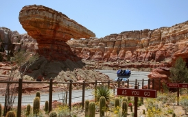 Radiator Springs Racers