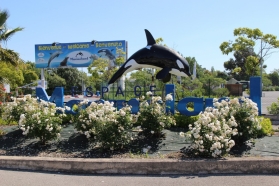 SNELAC annual meeting was held on June 5th and 6th at Espace Marineland, one of the largest attraction complexes of the country, located in Antibes on the French Riviera.